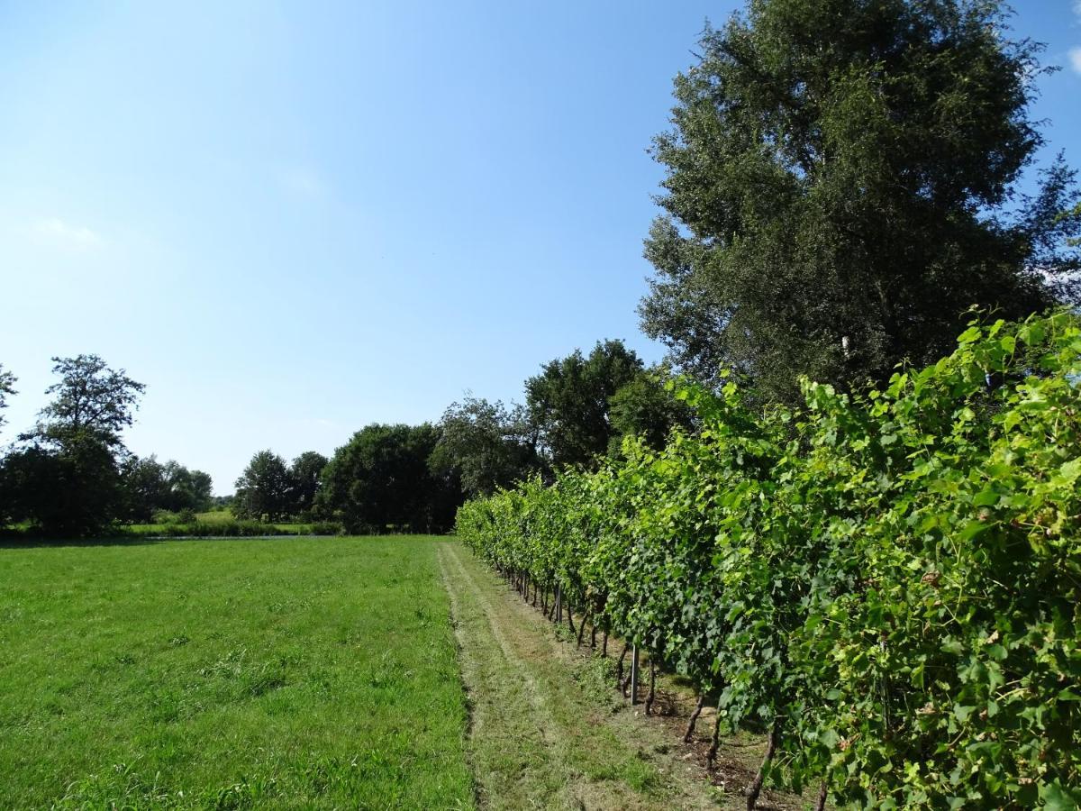 Corte Isolo Goito  外观 照片
